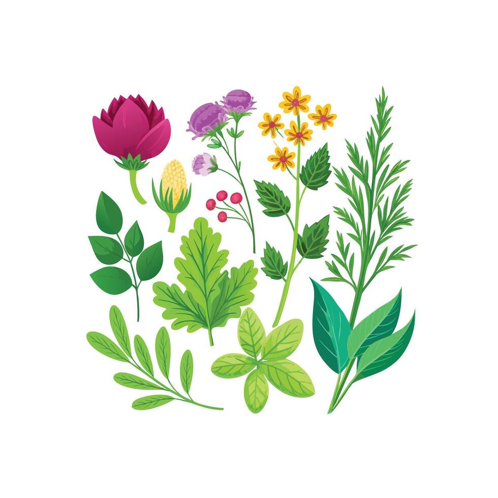 Realistic Beautiful Herbs Illustration vector