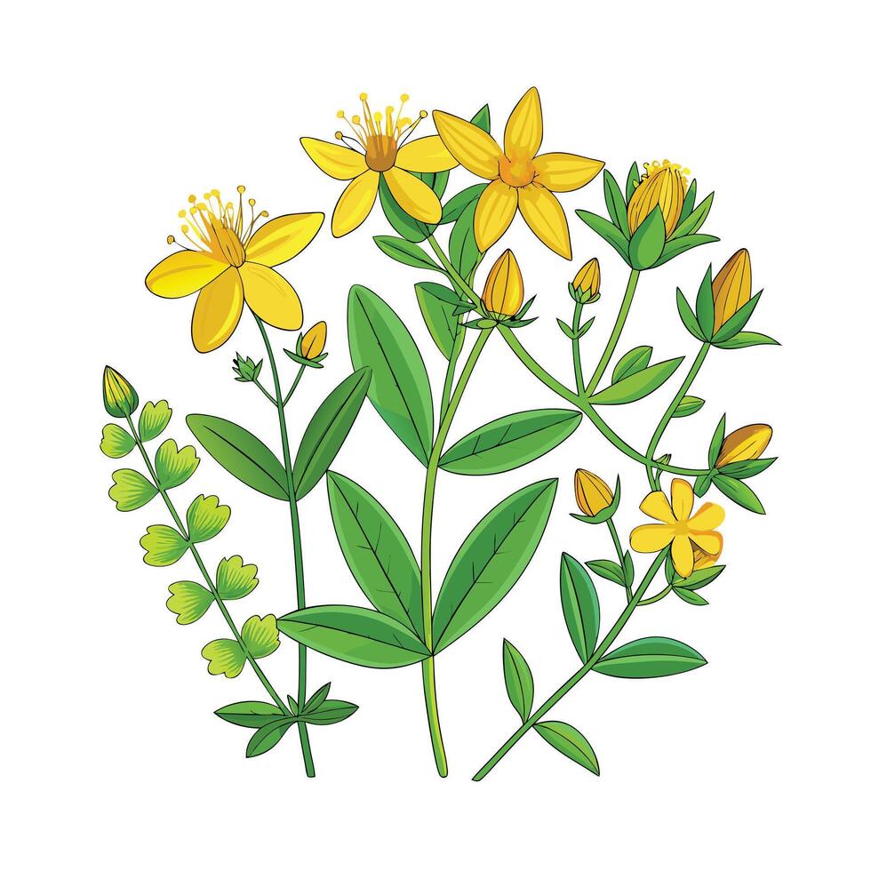 Realistic Beautiful Herbs Illustration vector