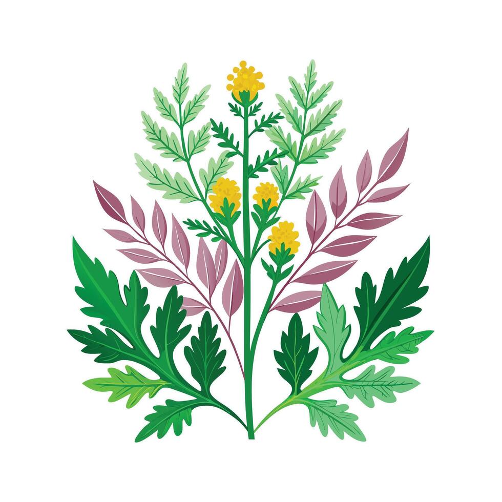 Realistic Beautiful Herbs Illustration vector