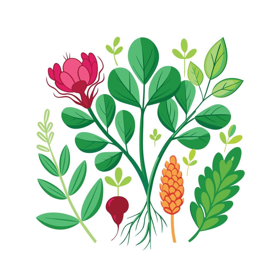 Realistic Beautiful Herbs Illustration vector
