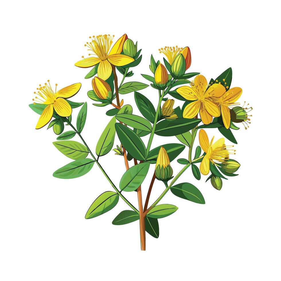 Realistic Beautiful Herbs Illustration vector