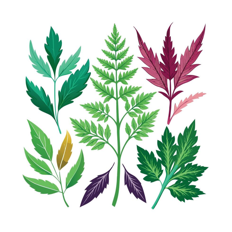 Realistic Beautiful Herbs Illustration vector