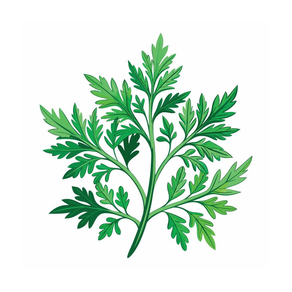 Realistic Beautiful Herbs Illustration vector