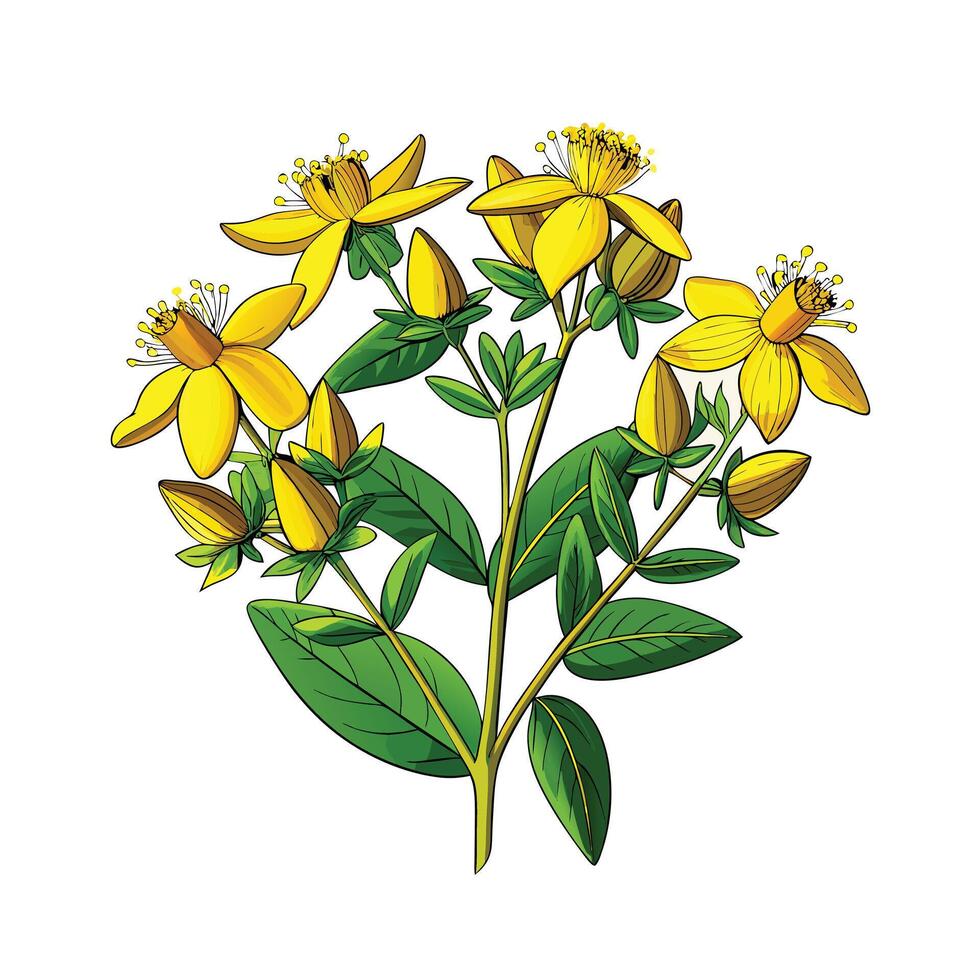 Realistic Beautiful Herbs Illustration vector