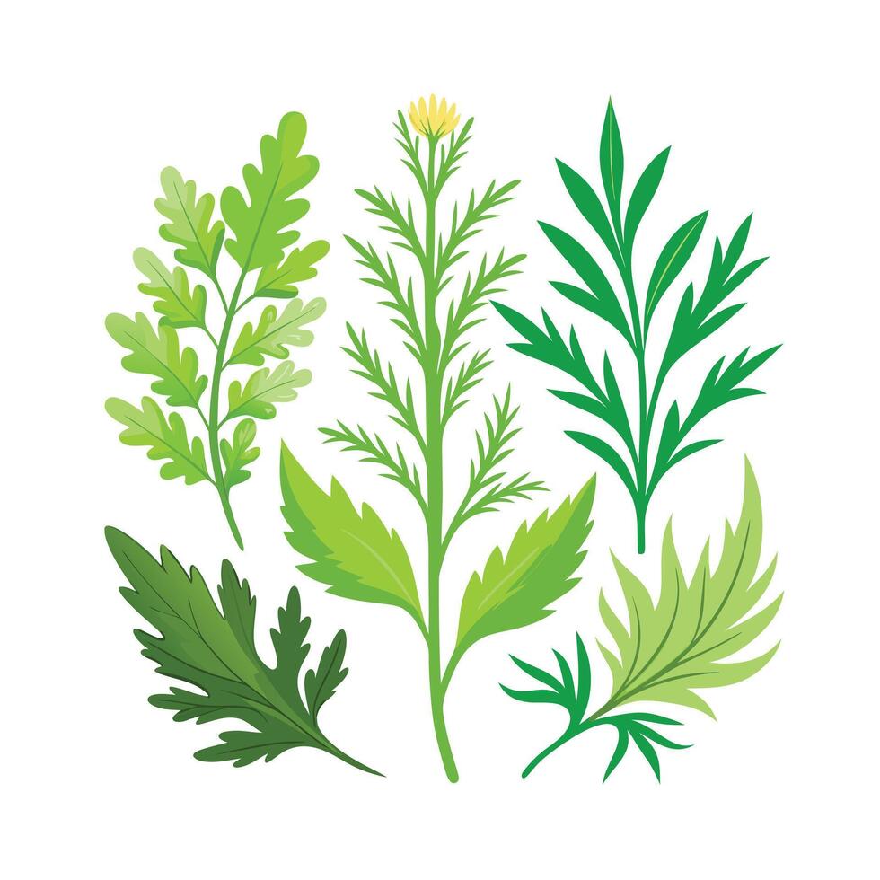 Realistic Beautiful Herbs Illustration vector