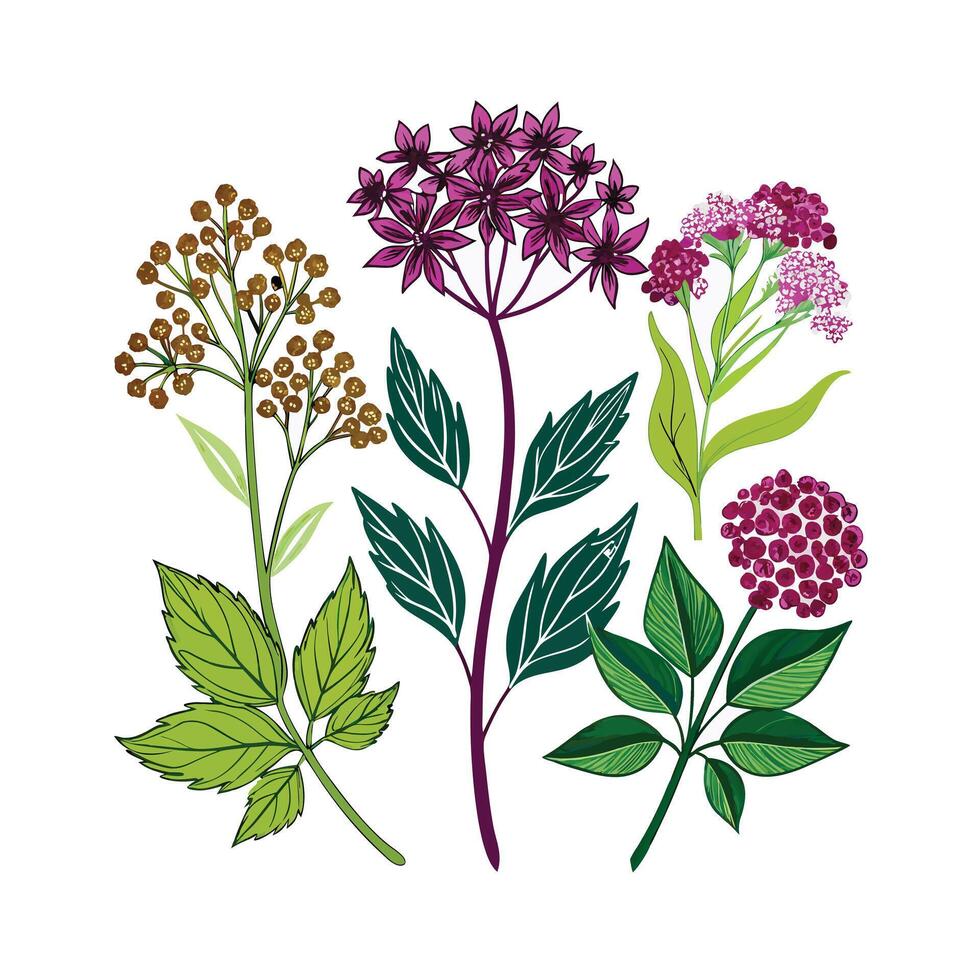 Realistic Beautiful Herbs Illustration vector