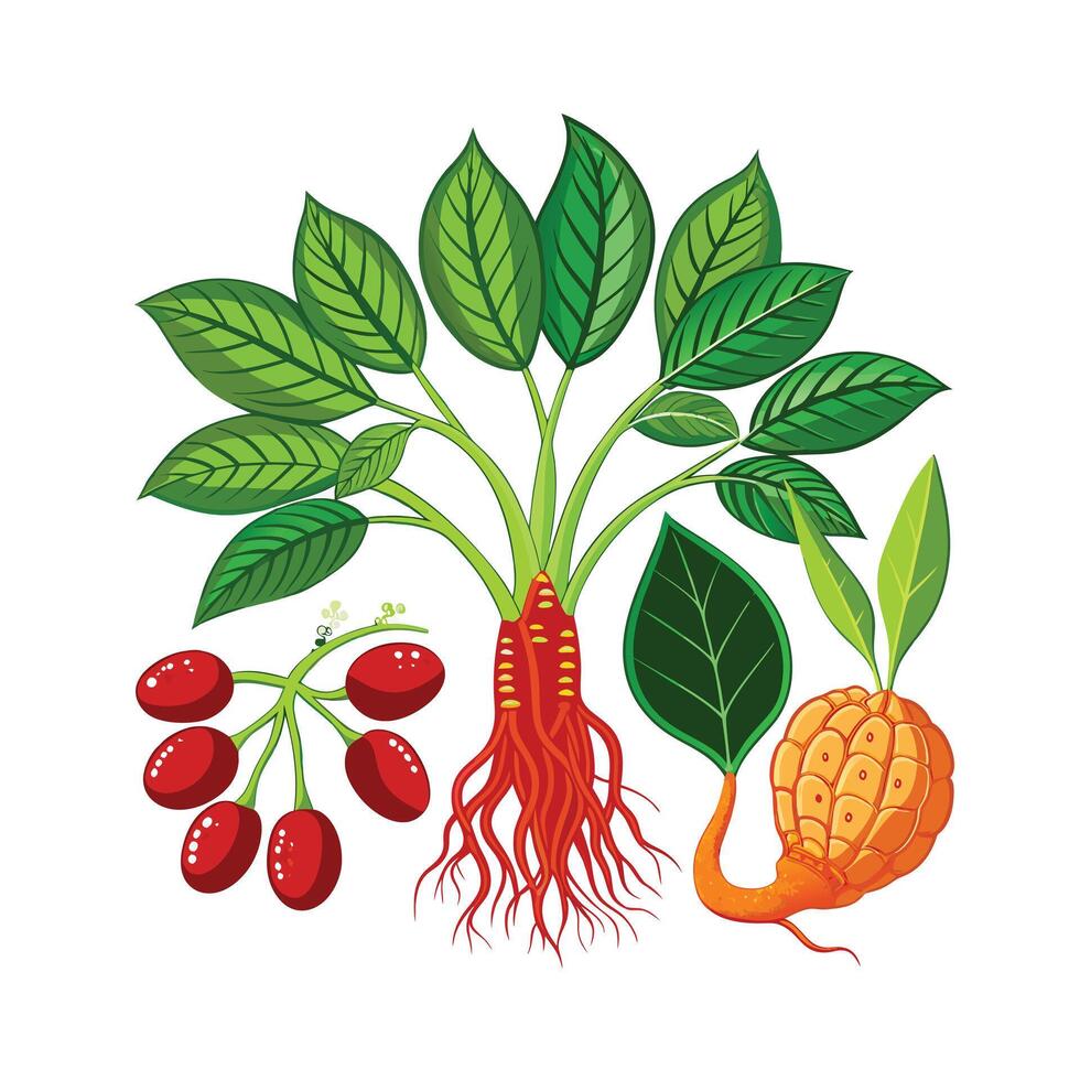 Realistic Beautiful Herbs Illustration vector