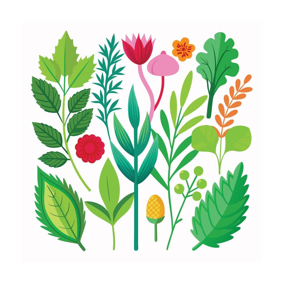 Realistic Beautiful Herbs Illustration vector