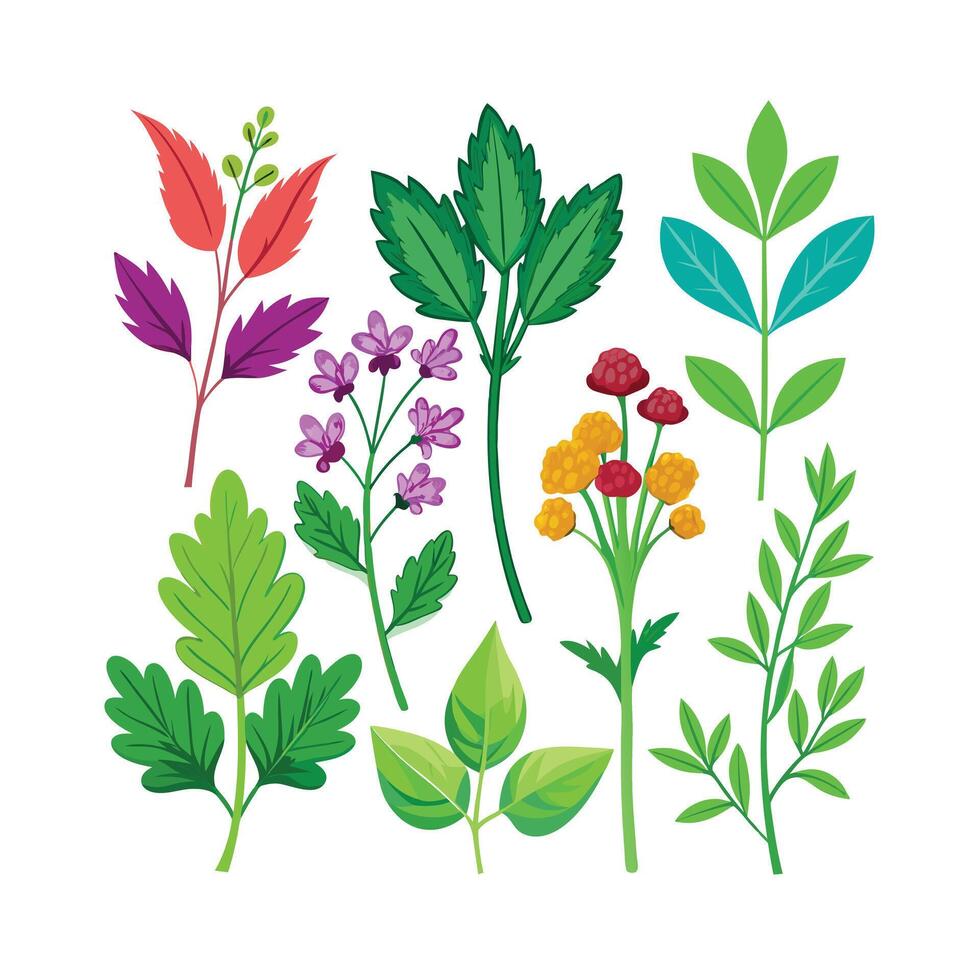 Realistic Beautiful Herbs Illustration vector