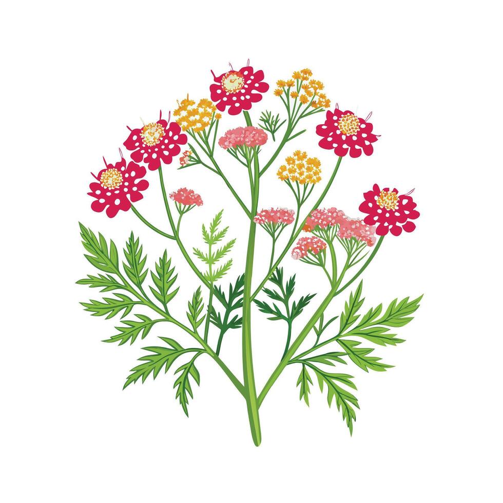 Realistic Beautiful Herbs Illustration vector
