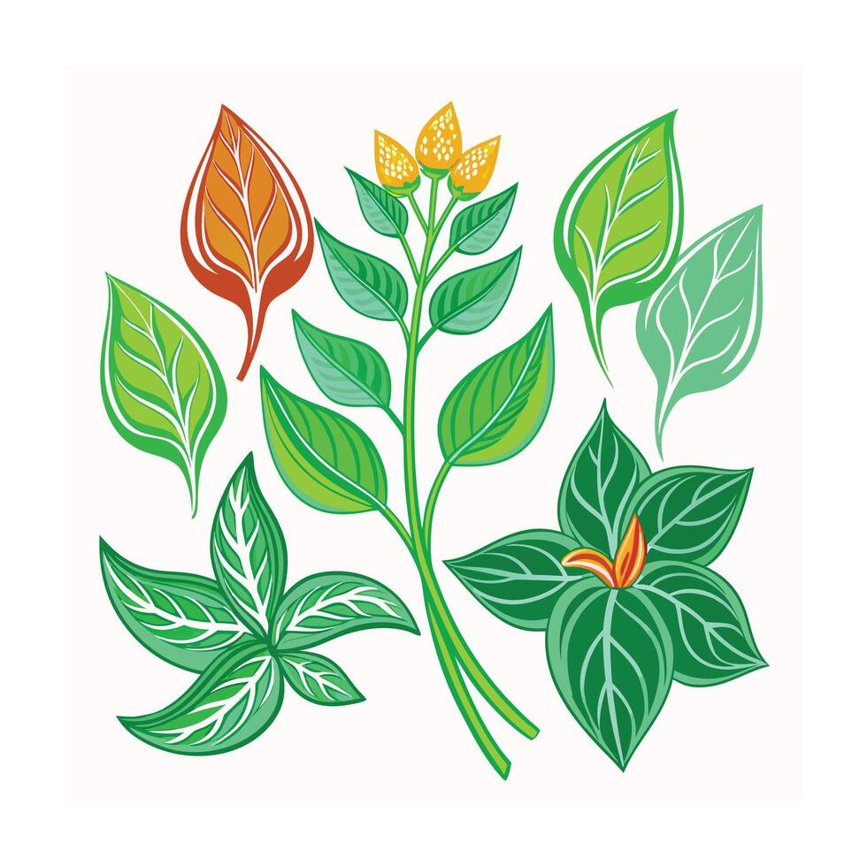 Realistic Beautiful Herbs Illustration vector