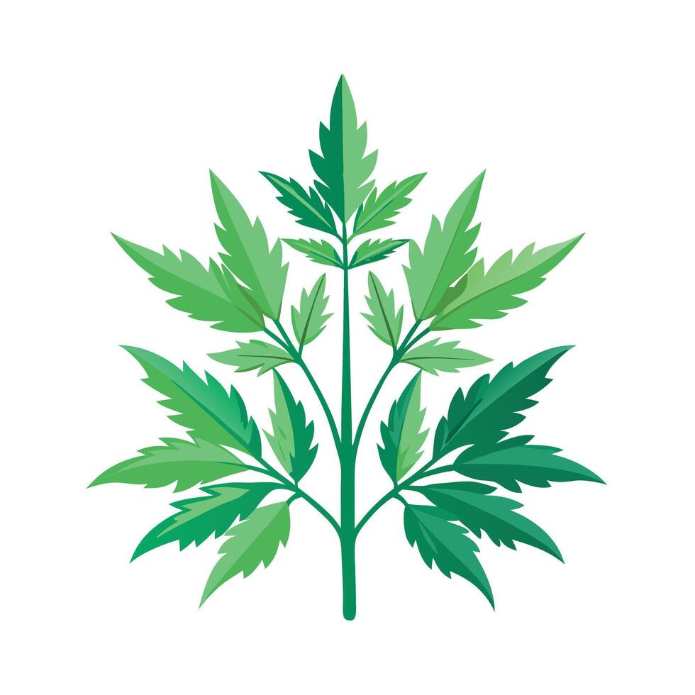 Realistic Beautiful Herbs Illustration vector