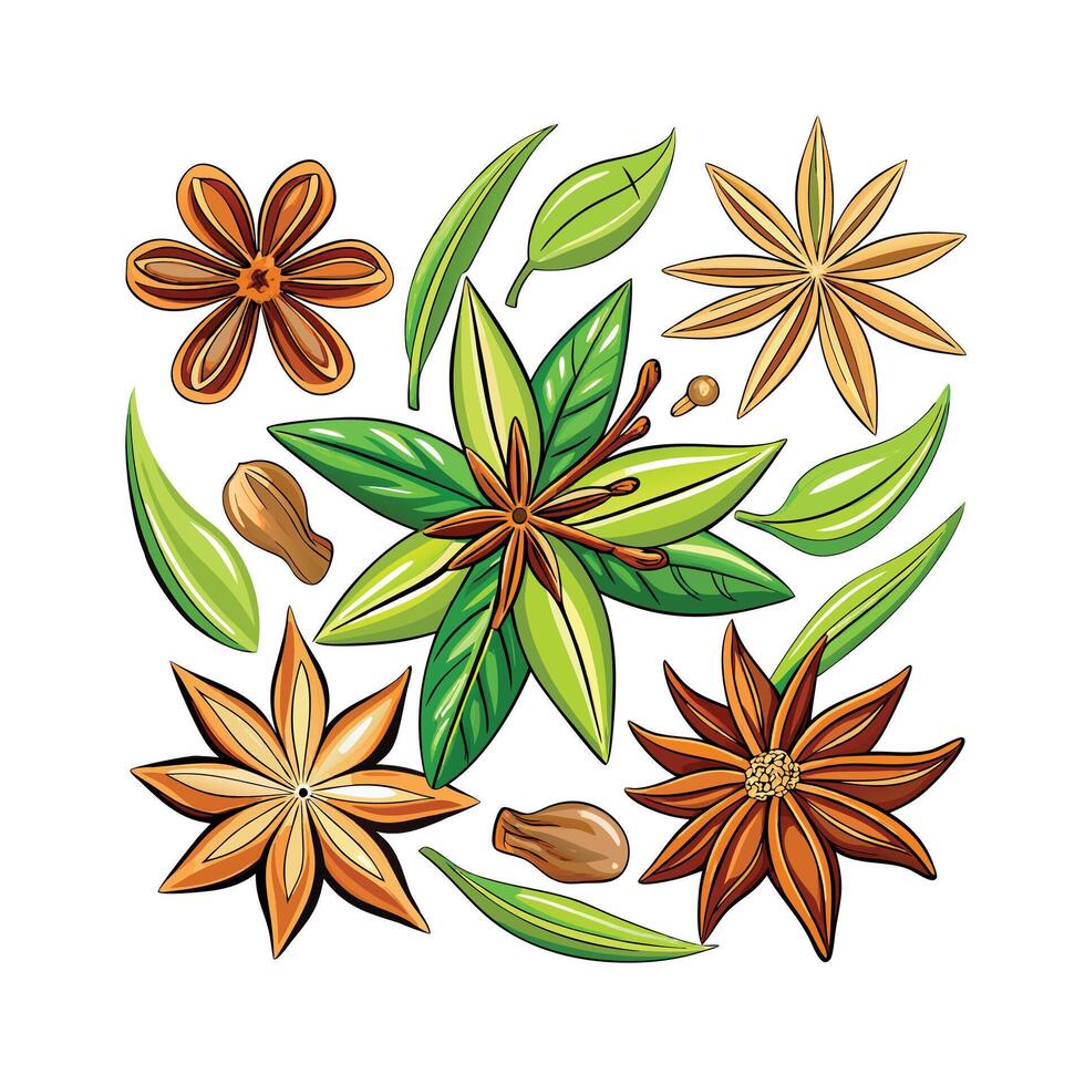 Realistic Beautiful Herbs Illustration vector
