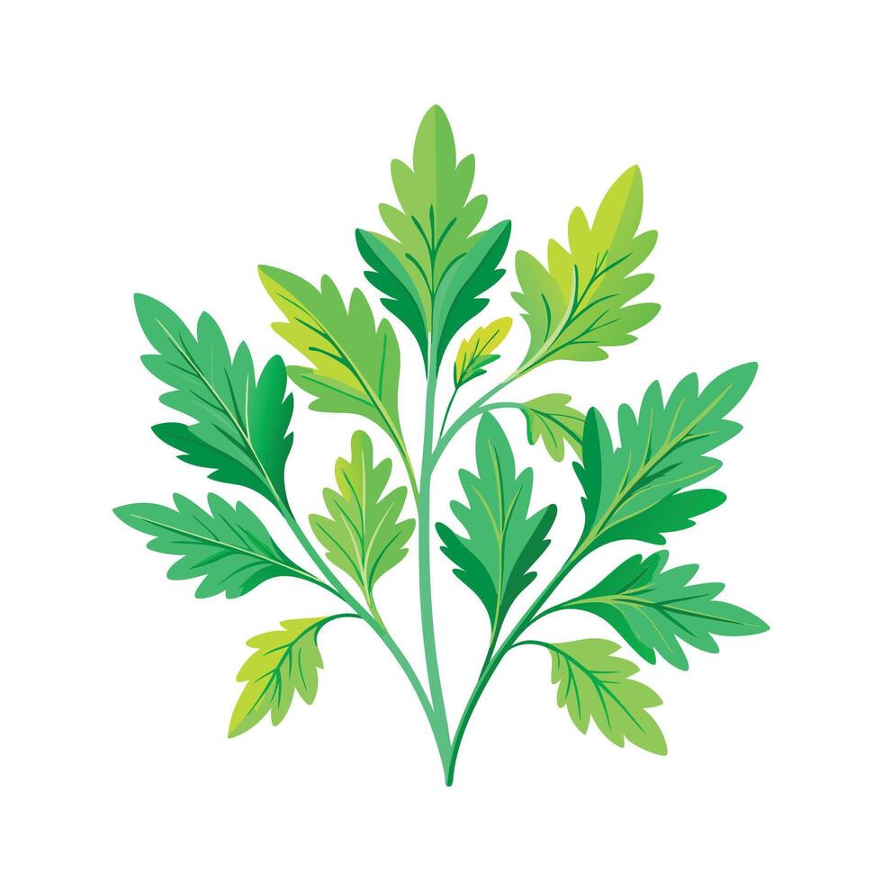 Realistic Beautiful Herbs Illustration vector