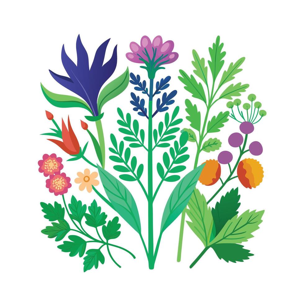 Realistic Beautiful Herbs Illustration vector