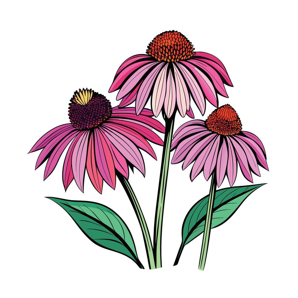 Realistic Beautiful Herbs Illustration vector