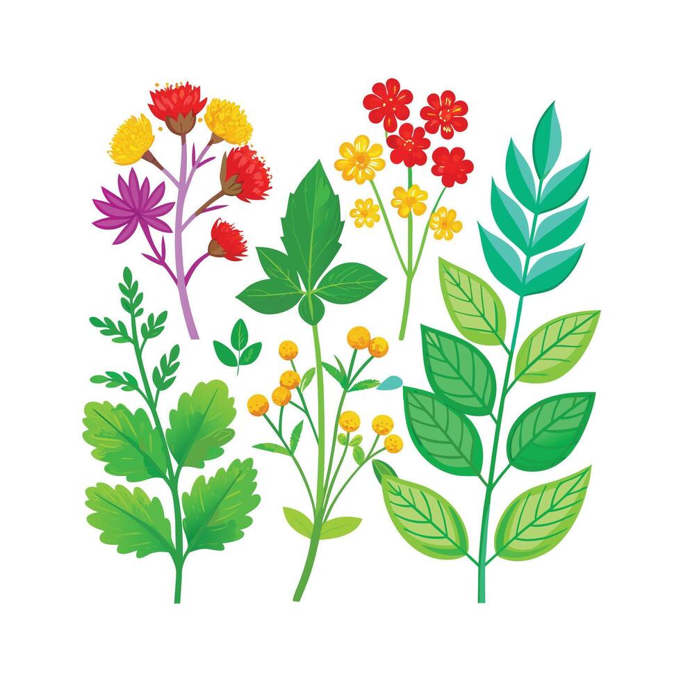 Realistic Beautiful Herbs Illustration vector