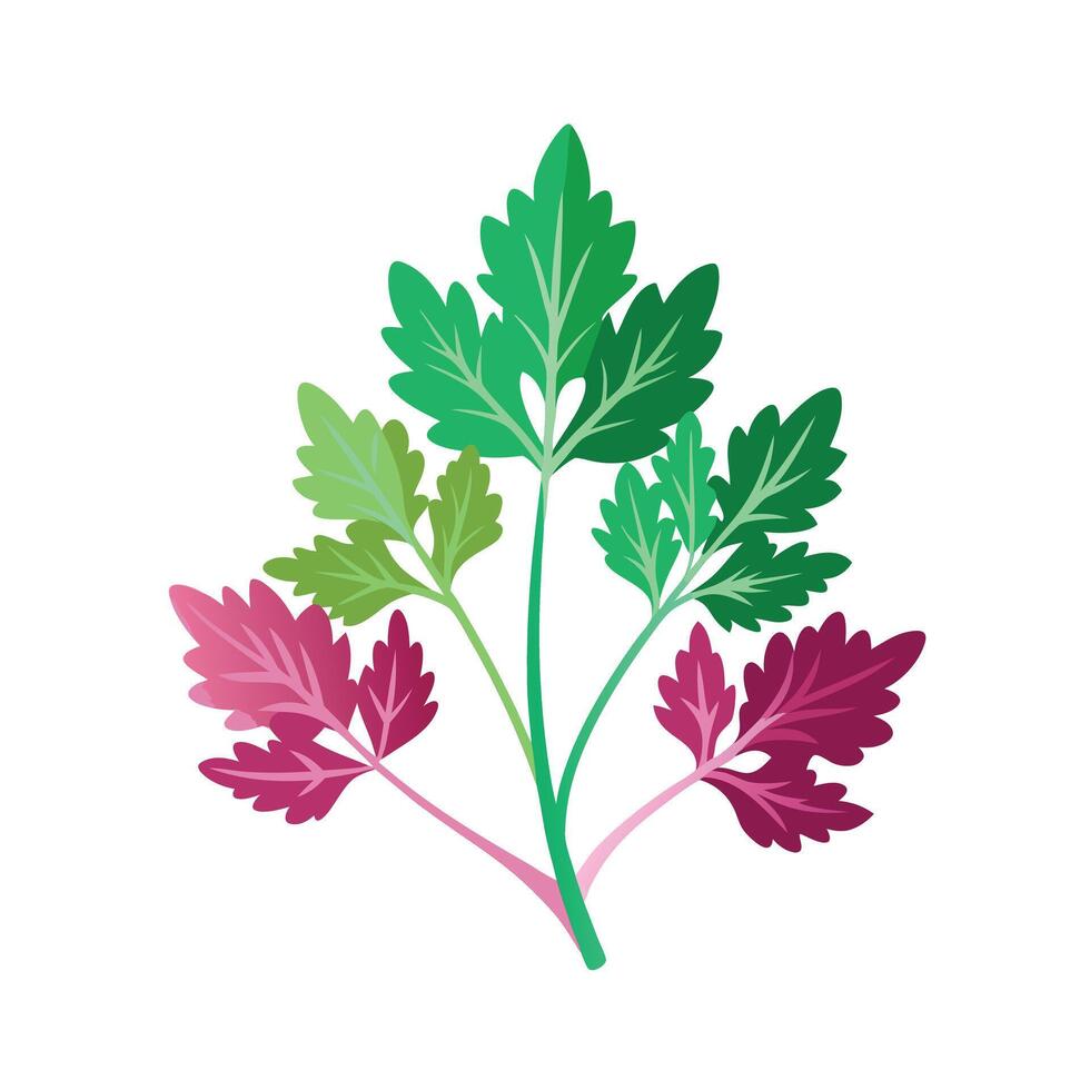 Realistic Beautiful Herbs Illustration vector