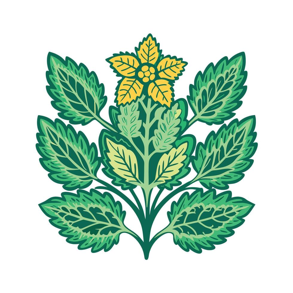 Realistic Beautiful Herbs Illustration vector