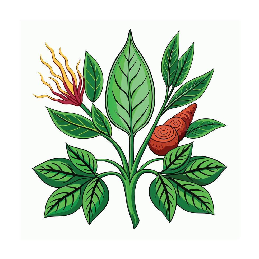 Realistic Beautiful Herbs Illustration vector
