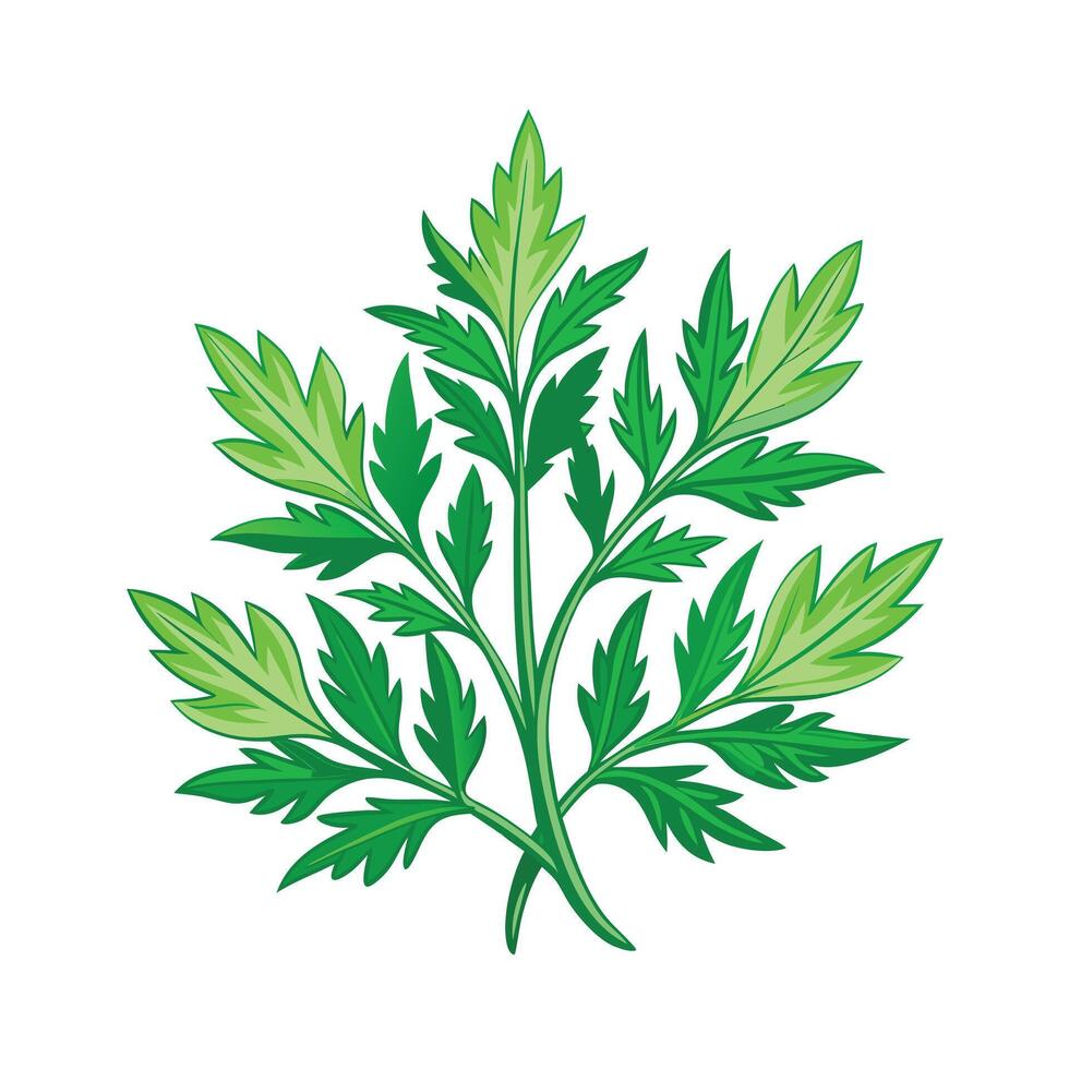 Realistic Beautiful Herbs Illustration vector