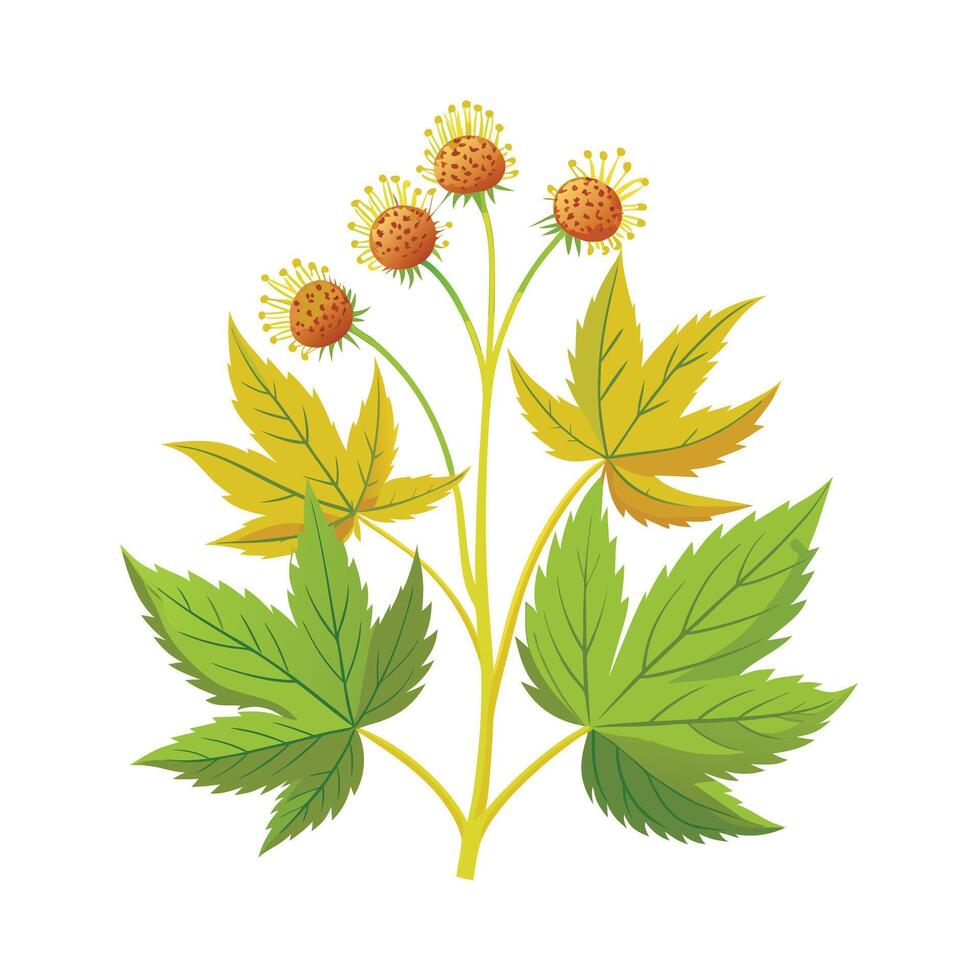 Realistic Beautiful Herbs Illustration vector