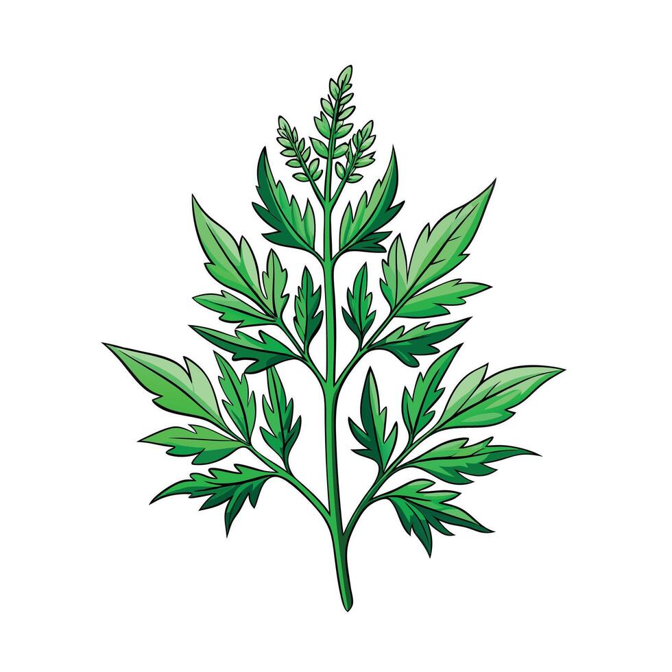 Realistic Beautiful Herbs Illustration vector