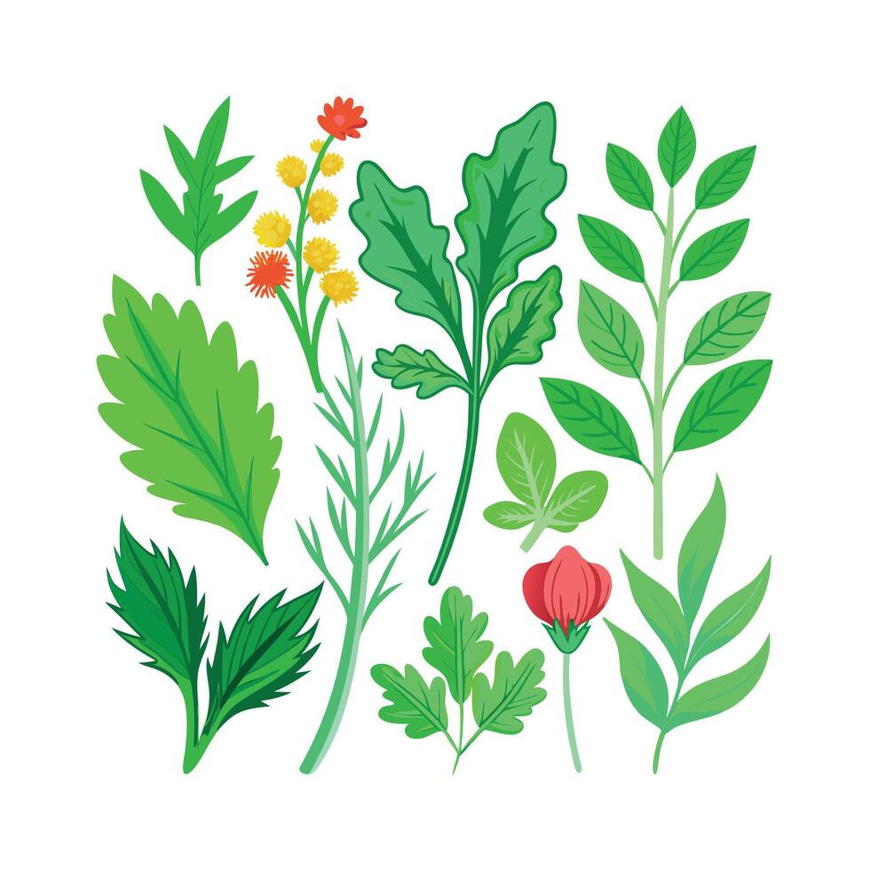 Realistic Beautiful Herbs Illustration vector