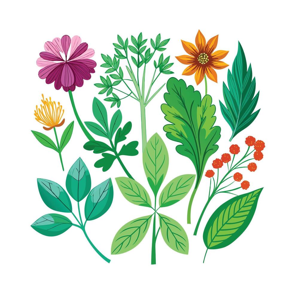 Realistic Beautiful Herbs Illustration vector