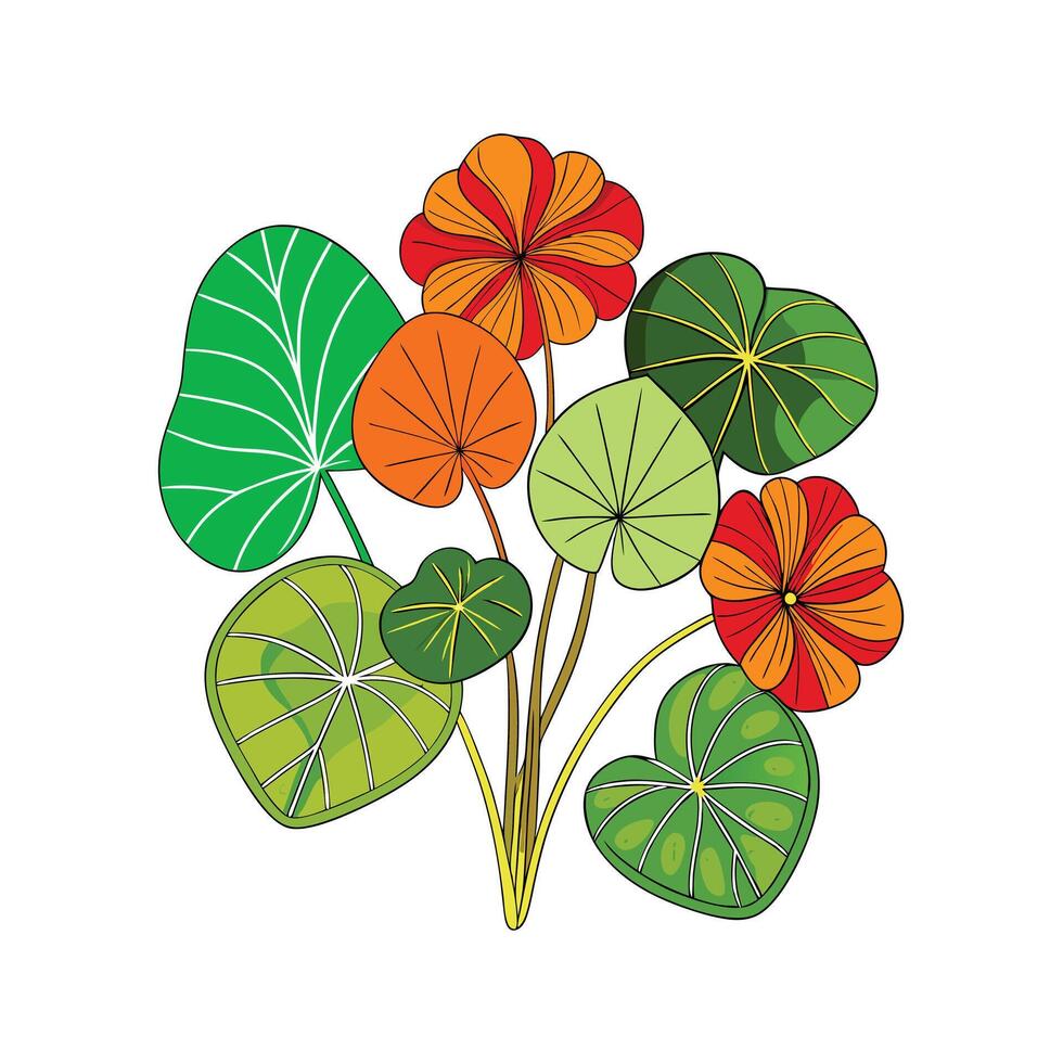 Realistic Beautiful Herbs Illustration vector