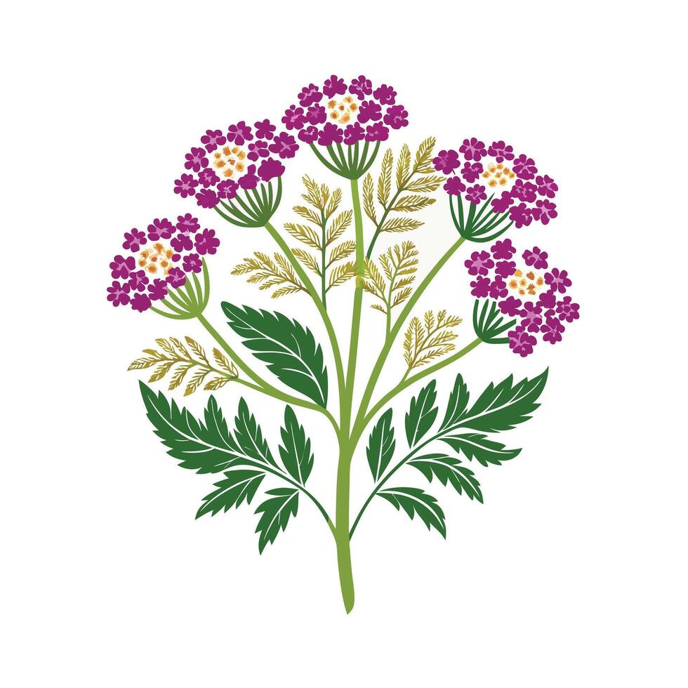Realistic Beautiful Herbs Illustration vector