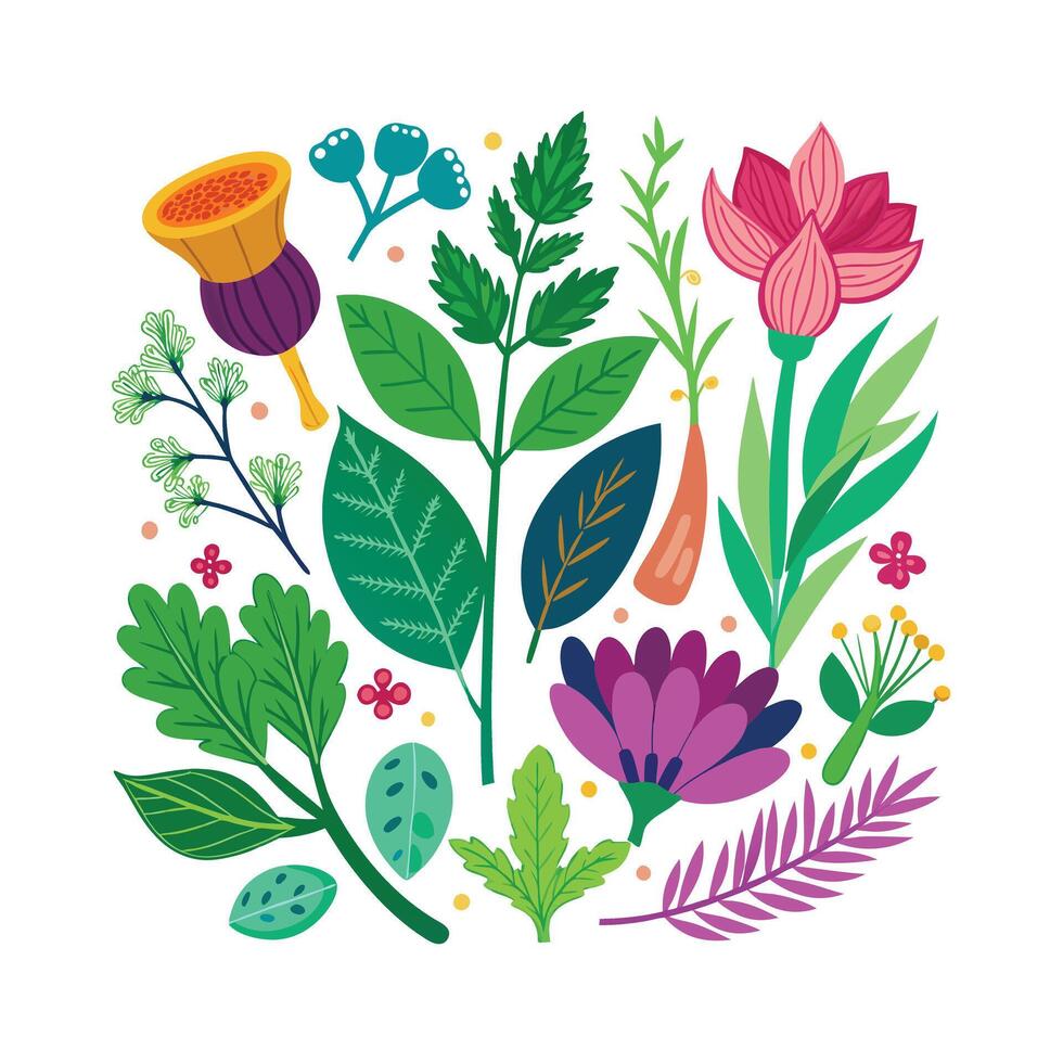 Realistic Beautiful Herbs Illustration vector