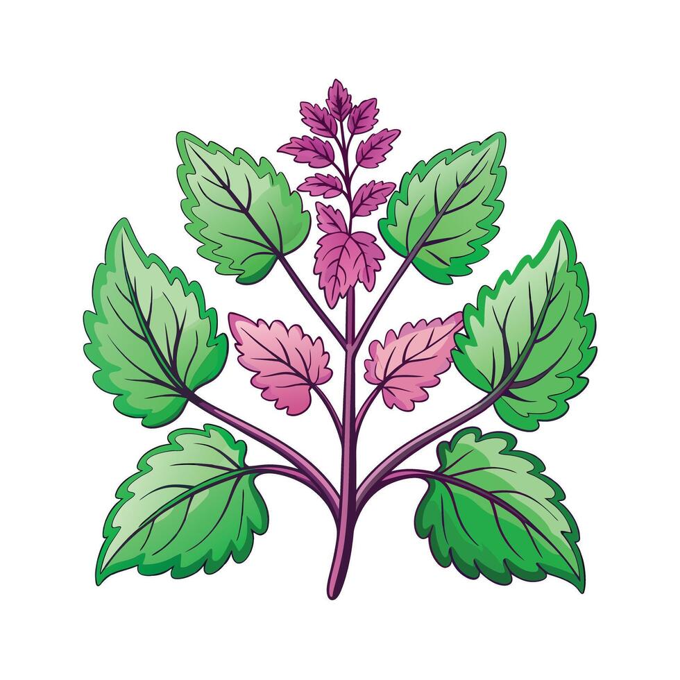 Realistic Beautiful Herbs Illustration vector