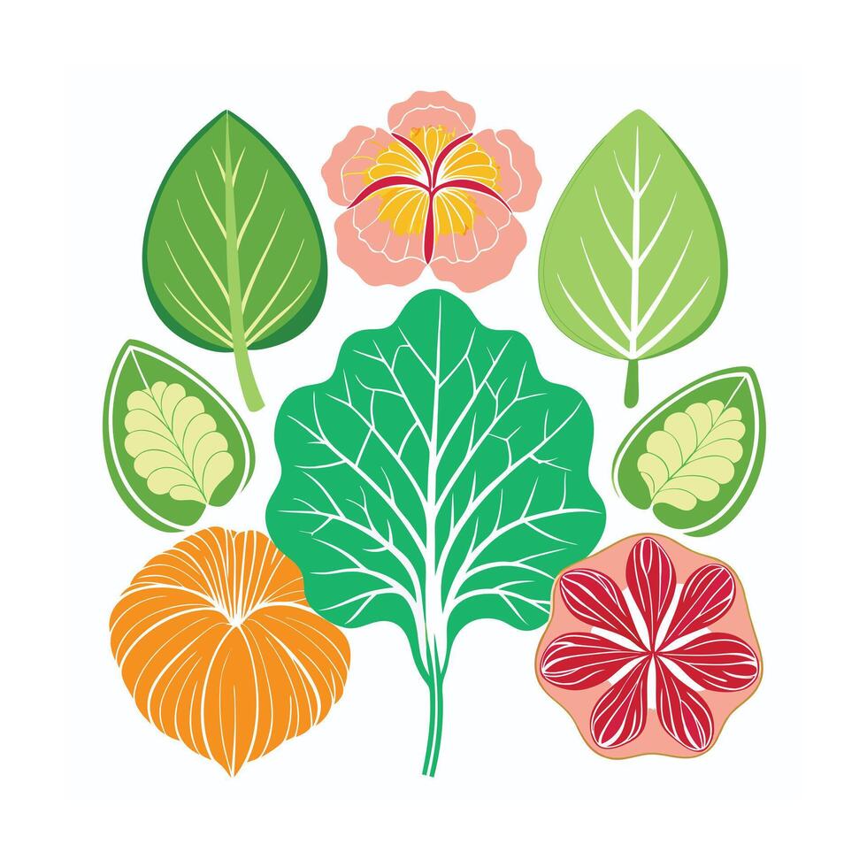 Realistic Beautiful Herbs Illustration vector
