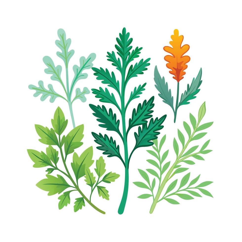Realistic Beautiful Herbs Illustration vector