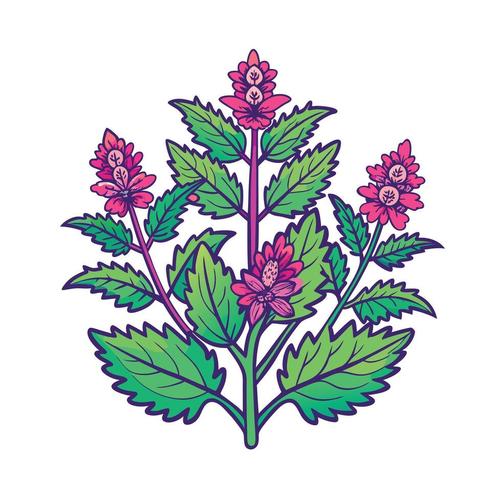 Realistic Beautiful Herbs Illustration vector