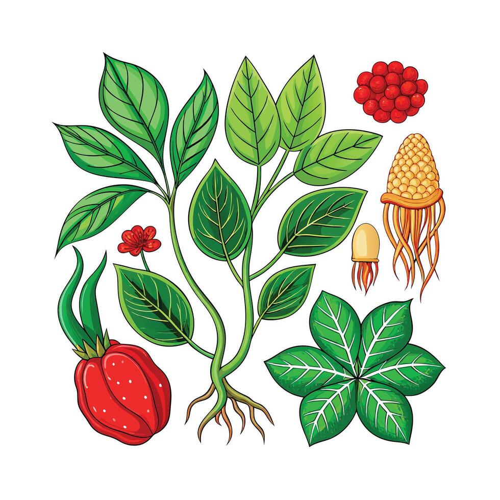 Realistic Beautiful Herbs Illustration vector