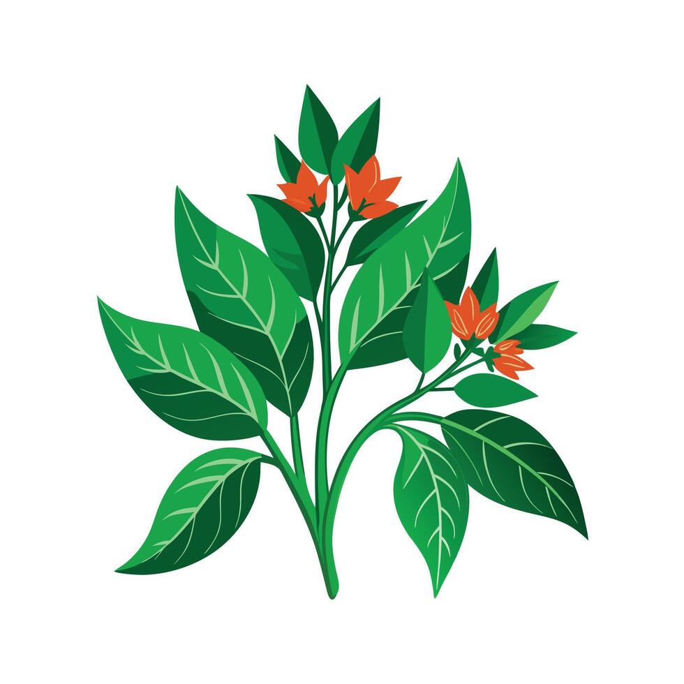 Realistic Beautiful Herbs Illustration vector