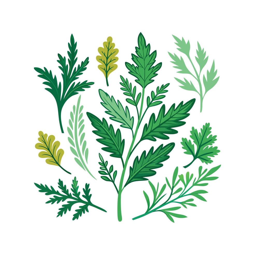 Realistic Beautiful Herbs Illustration vector