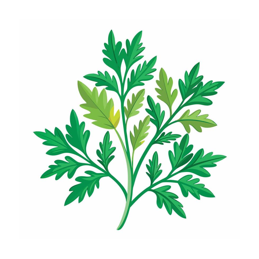 Realistic Beautiful Herbs Illustration vector