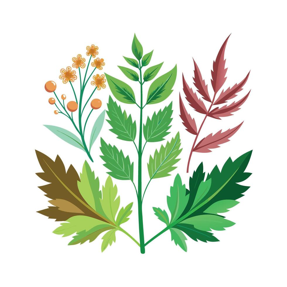 Realistic Beautiful Herbs Illustration vector