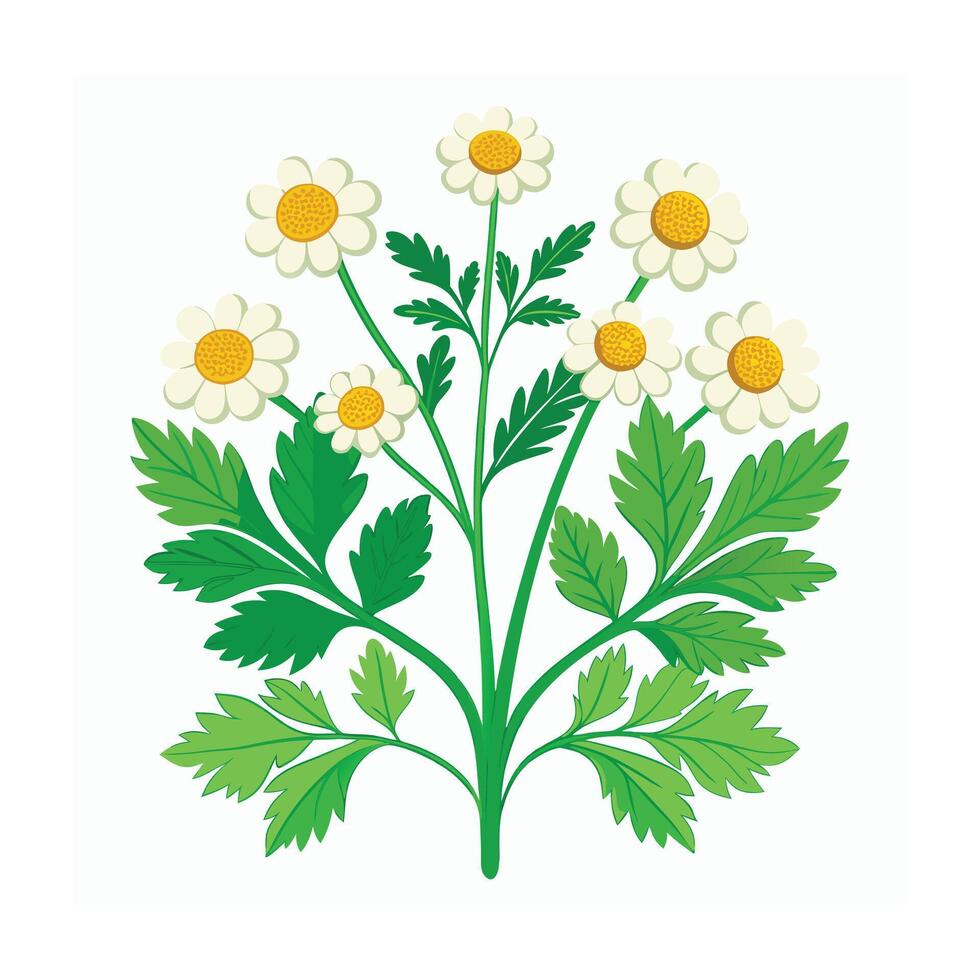 Realistic Beautiful Herbs Illustration vector