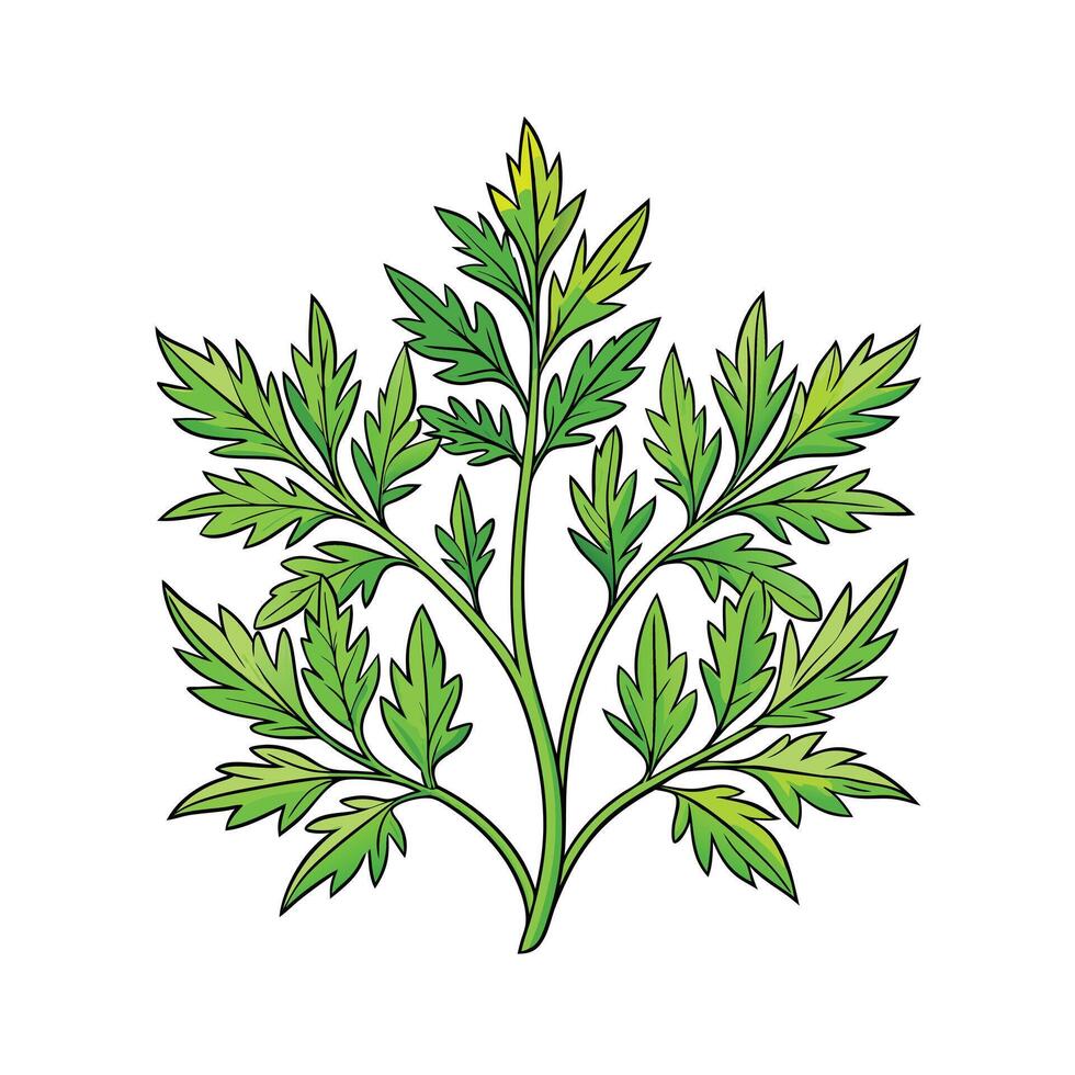 Realistic Beautiful Herbs Illustration vector