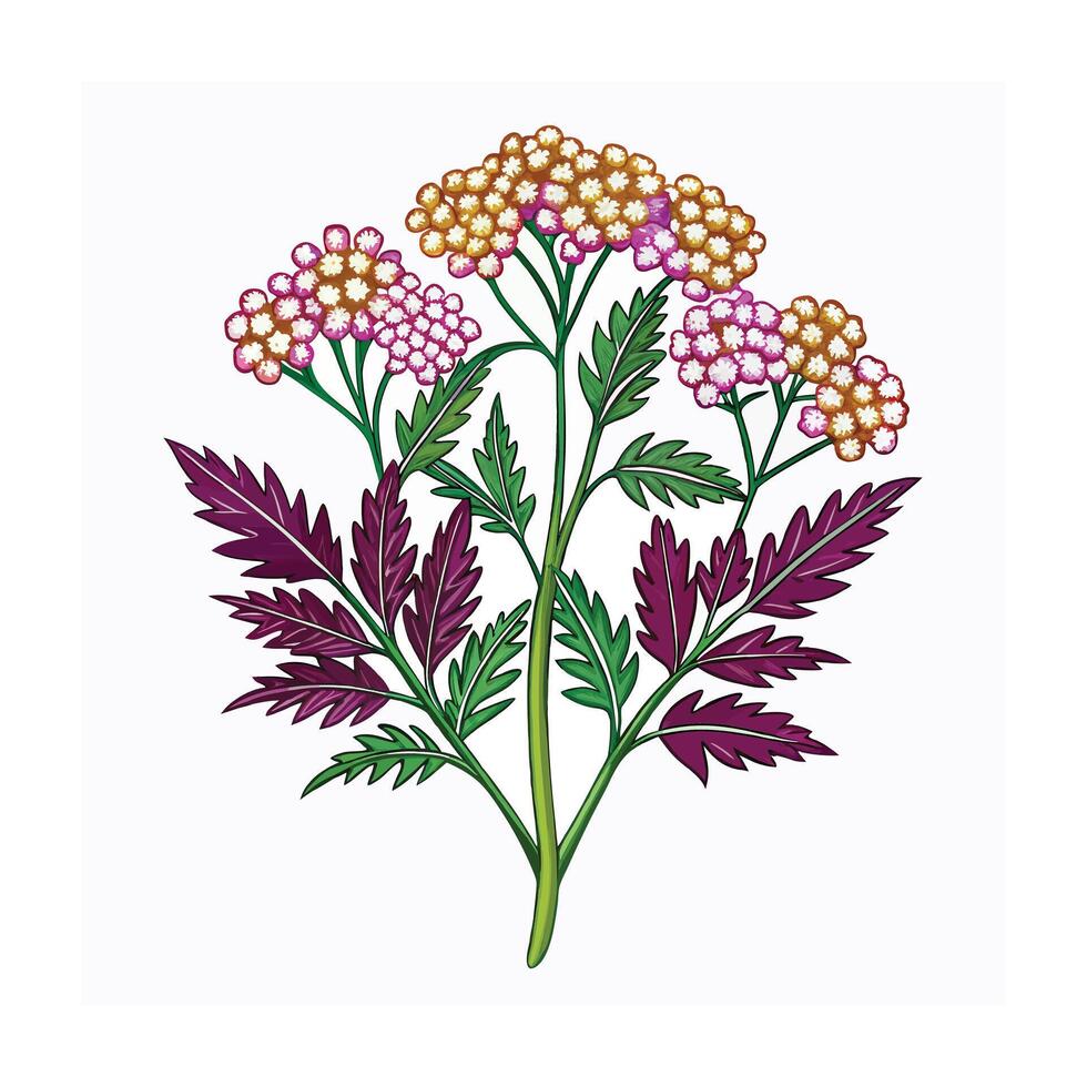 Realistic Beautiful Herbs Illustration vector