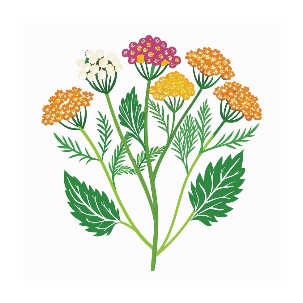 Realistic Beautiful Herbs Illustration vector