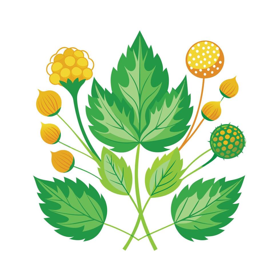 Realistic Beautiful Herbs Illustration vector