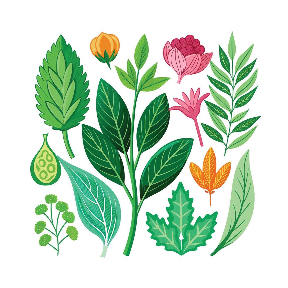 Realistic Beautiful Herbs Illustration vector