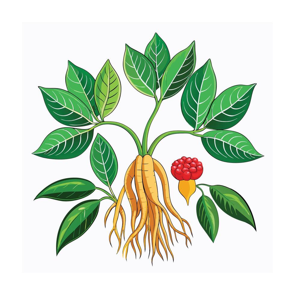 Realistic Beautiful Herbs Illustration vector