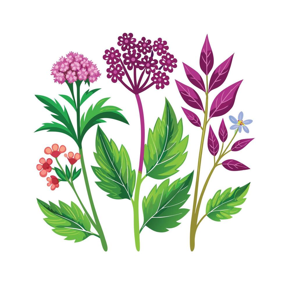 Realistic Beautiful Herbs Illustration vector