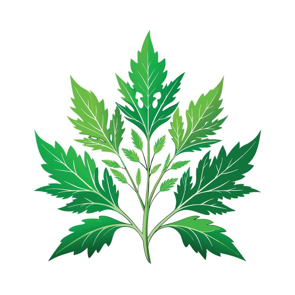 Realistic Beautiful Herbs Illustration vector